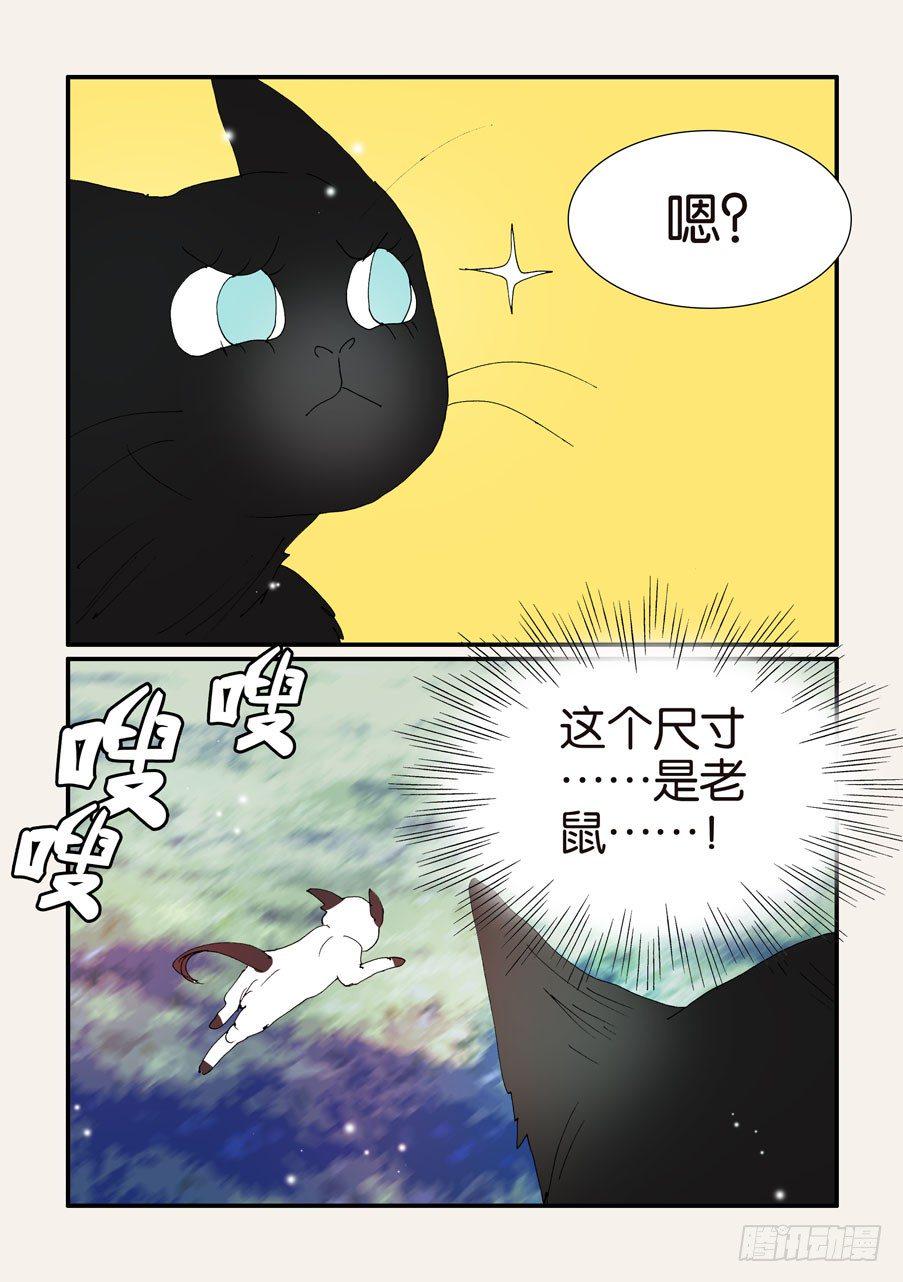 《不轮之轮》漫画最新章节376本体免费下拉式在线观看章节第【20】张图片