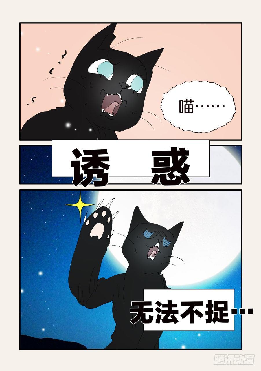 《不轮之轮》漫画最新章节376本体免费下拉式在线观看章节第【21】张图片