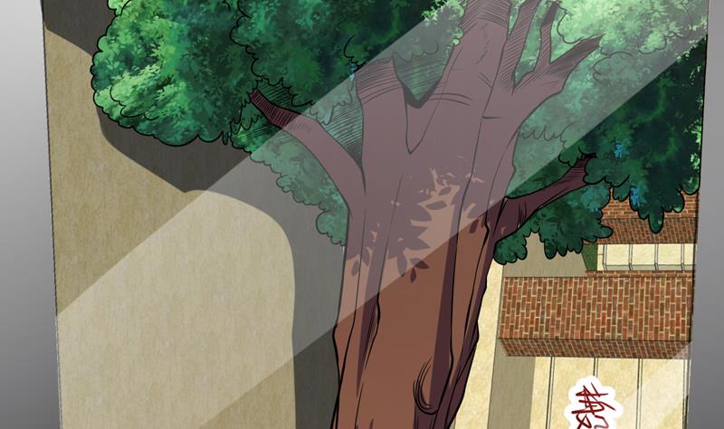 《才不是金手指》漫画最新章节第146话 小花，快醒醒免费下拉式在线观看章节第【20】张图片