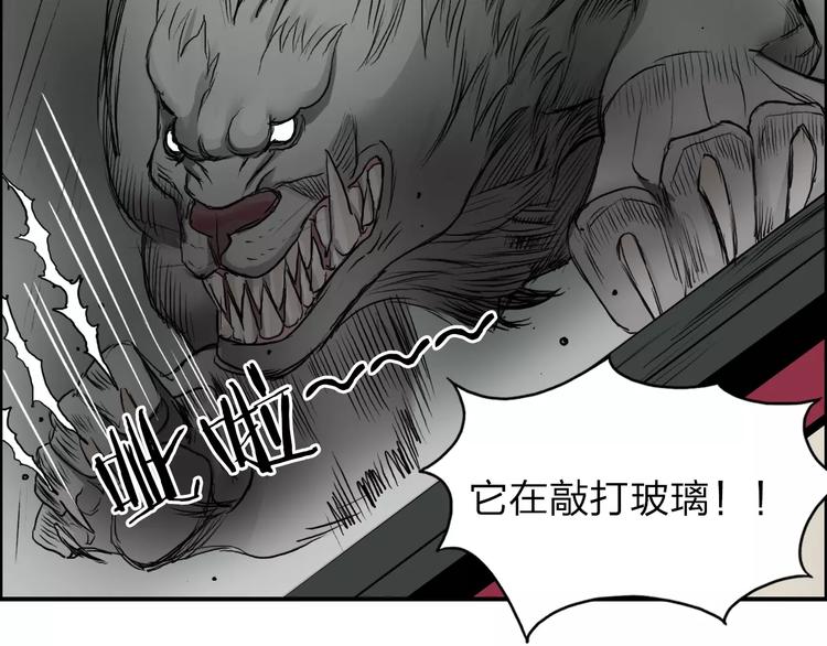 《超能立方》漫画最新章节第34话 力量才是秩序免费下拉式在线观看章节第【19】张图片