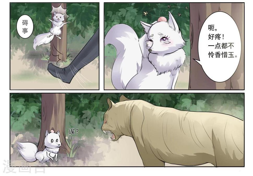 【宠狐成妃】漫画-（第2话 狐假虎威）章节漫画下拉式图片-5.jpg