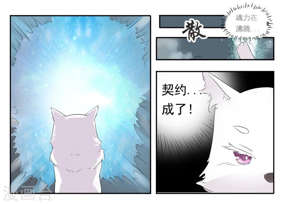 《宠狐成妃》漫画最新章节第11话 签订契约免费下拉式在线观看章节第【12】张图片