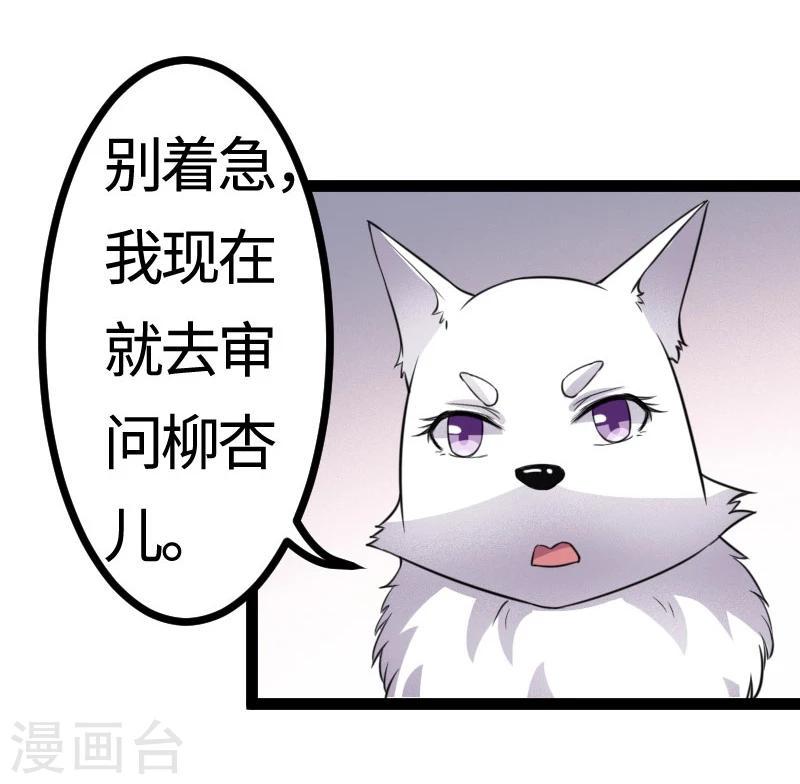 《宠狐成妃》漫画最新章节第105话 另有其人免费下拉式在线观看章节第【11】张图片