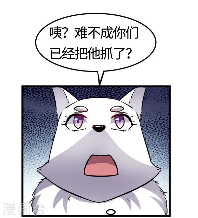 《宠狐成妃》漫画最新章节第105话 另有其人免费下拉式在线观看章节第【40】张图片