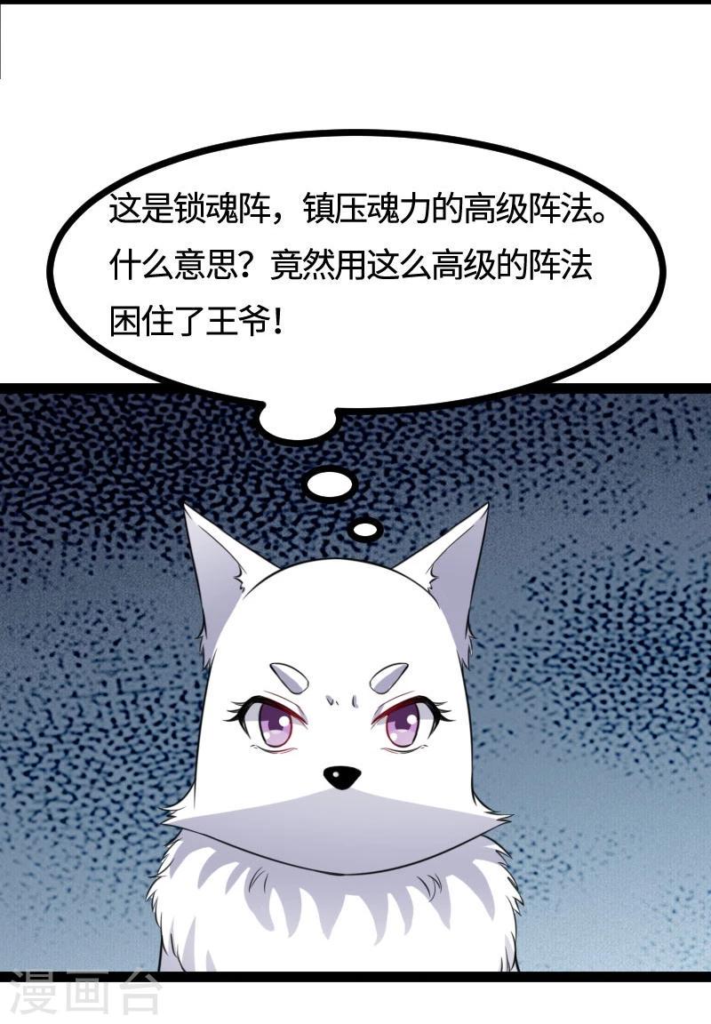 《宠狐成妃》漫画最新章节第108话 审判免费下拉式在线观看章节第【12】张图片