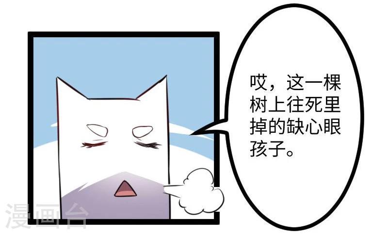 《宠狐成妃》漫画最新章节第117话 复杂的五角恋免费下拉式在线观看章节第【20】张图片