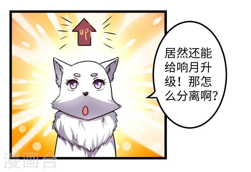 《宠狐成妃》漫画最新章节第118话 炼化兽精免费下拉式在线观看章节第【3】张图片