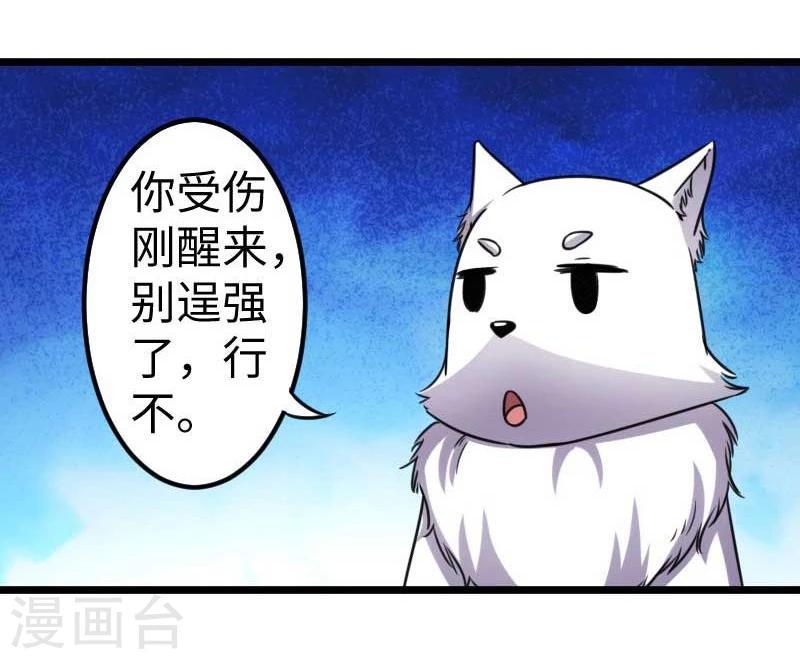 《宠狐成妃》漫画最新章节第120话 卡斯免费下拉式在线观看章节第【12】张图片