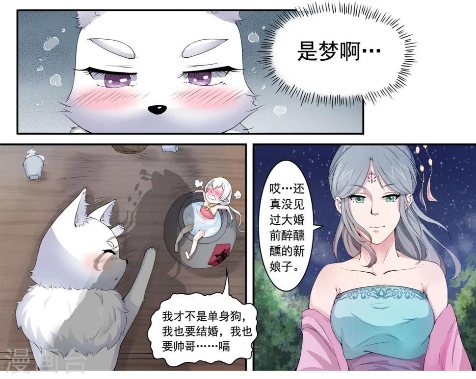 《宠狐成妃》漫画最新章节第19话 明天我要嫁给你了免费下拉式在线观看章节第【11】张图片