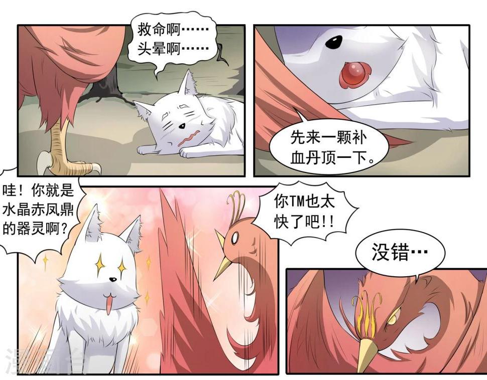 《宠狐成妃》漫画最新章节第27话 龙傲天免费下拉式在线观看章节第【2】张图片