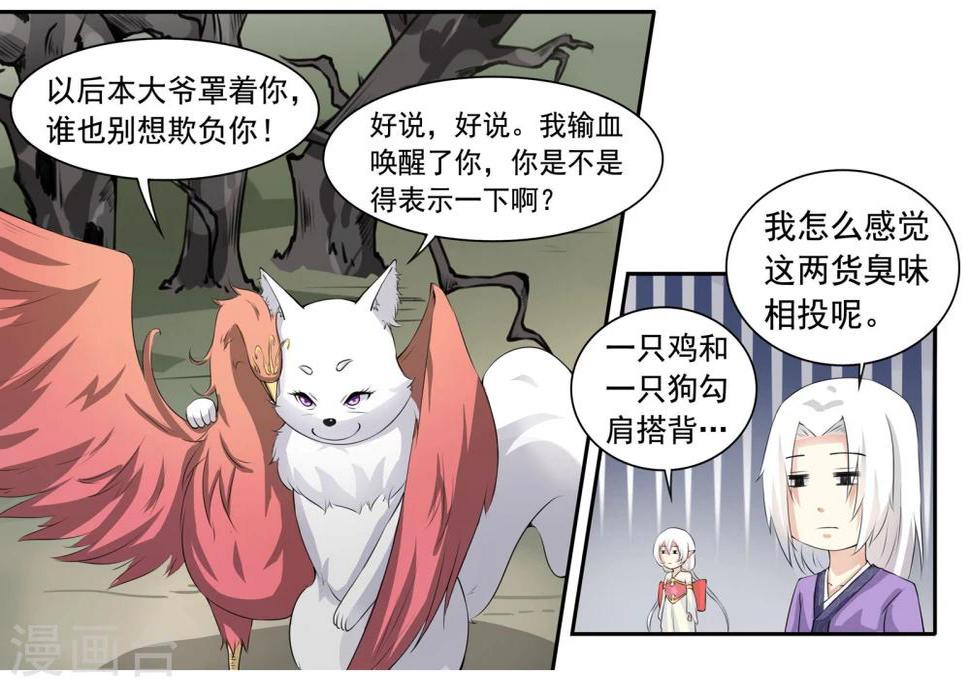 【宠狐成妃】漫画-（第27话 龙傲天）章节漫画下拉式图片-3.jpg
