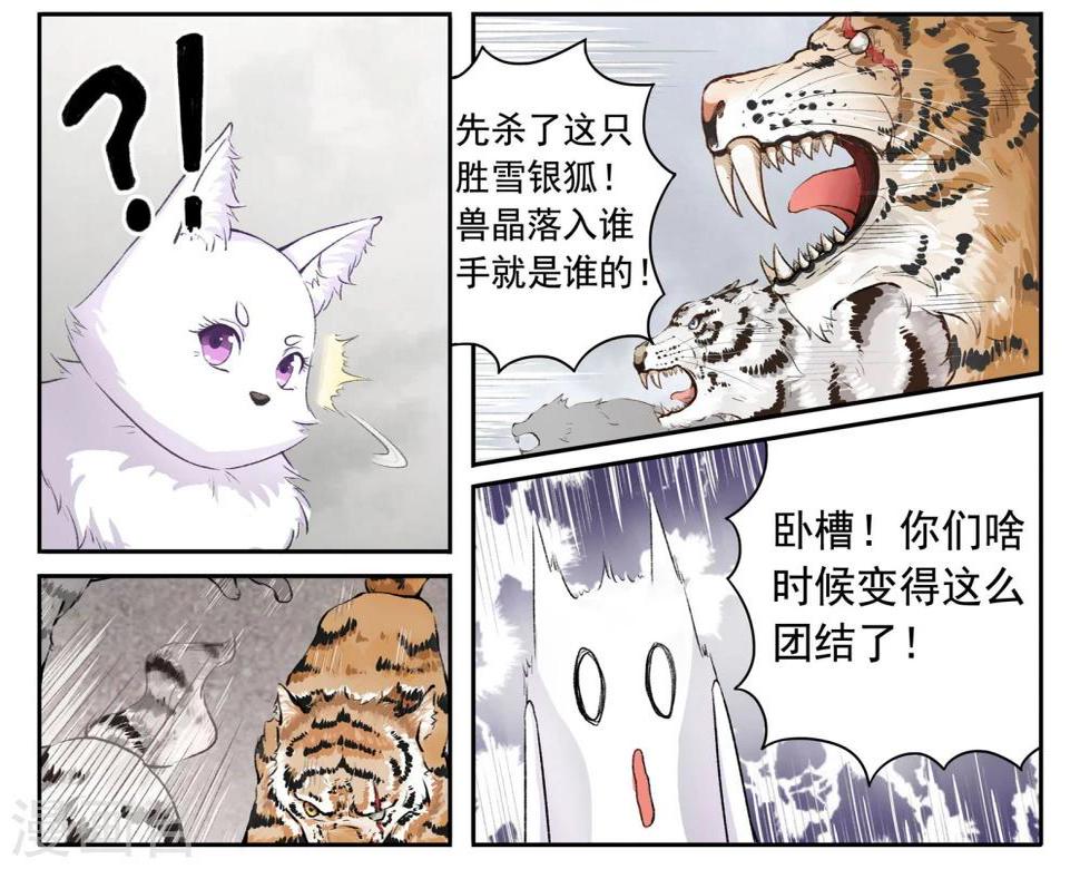 《宠狐成妃》漫画最新章节第31话 虎魂免费下拉式在线观看章节第【10】张图片