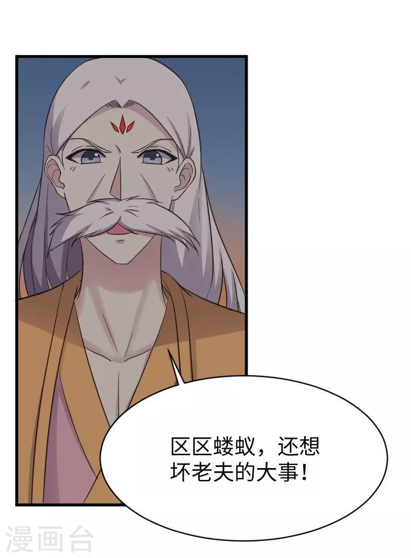 《宠狐成妃》漫画最新章节第318话 祭祀开始免费下拉式在线观看章节第【3】张图片