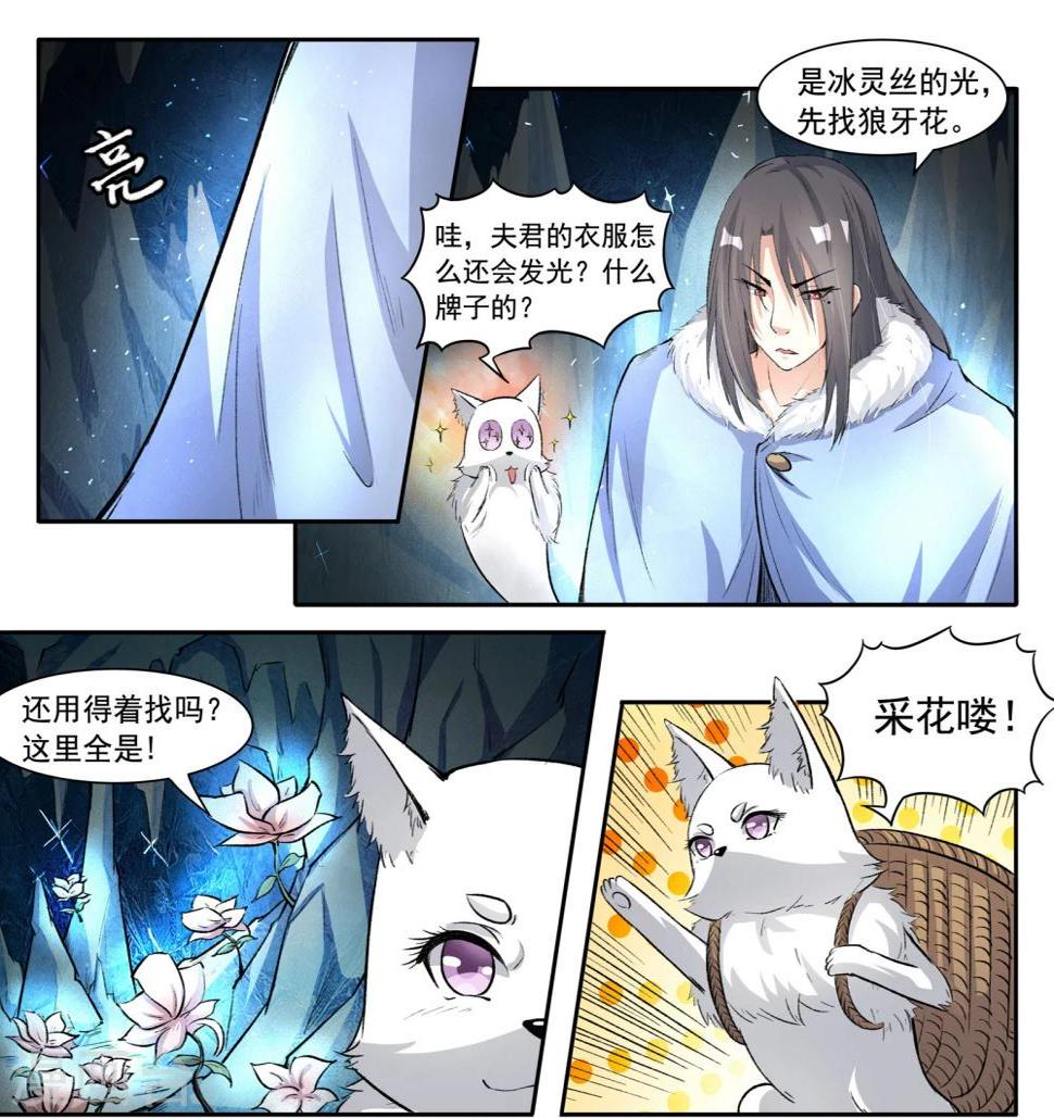 《宠狐成妃》漫画最新章节第49话 极寒之地免费下拉式在线观看章节第【6】张图片