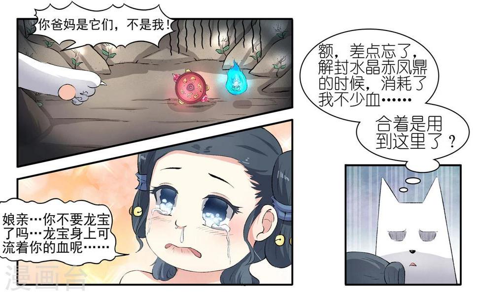 《宠狐成妃》漫画最新章节第55话 儿子？龙宝！免费下拉式在线观看章节第【7】张图片