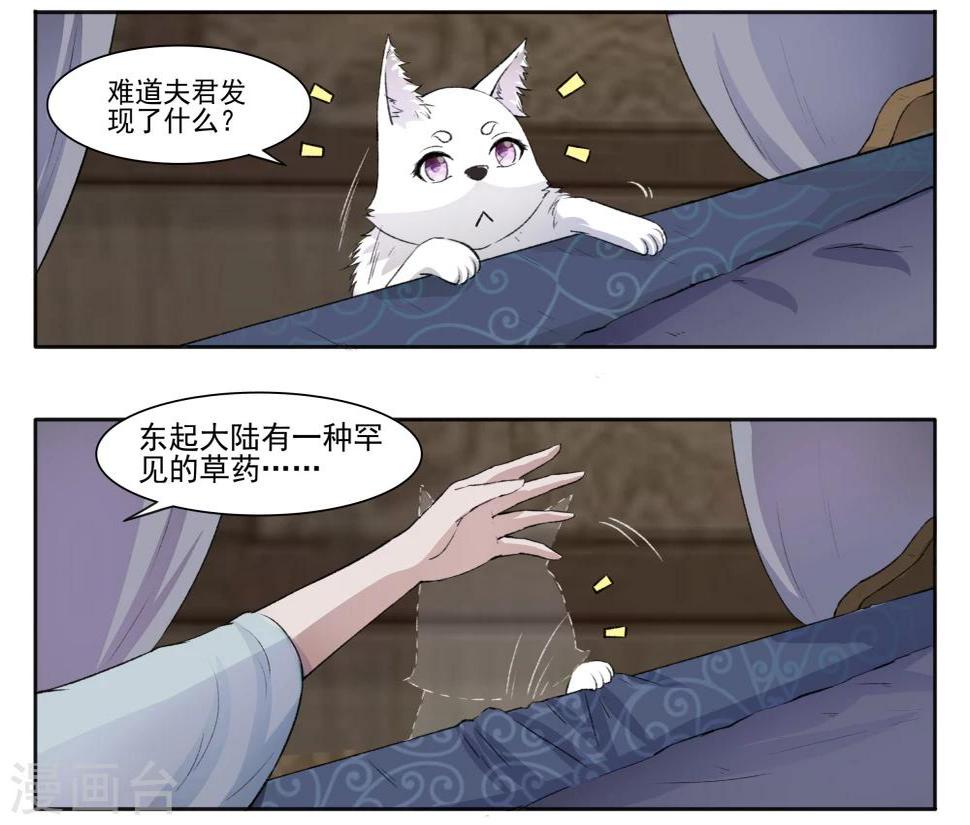 《宠狐成妃》漫画最新章节第61话 风聚云诡免费下拉式在线观看章节第【2】张图片