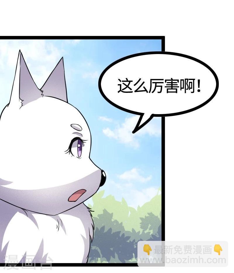 【宠狐成妃】漫画-（第99话 流云宗）章节漫画下拉式图片-12.jpg