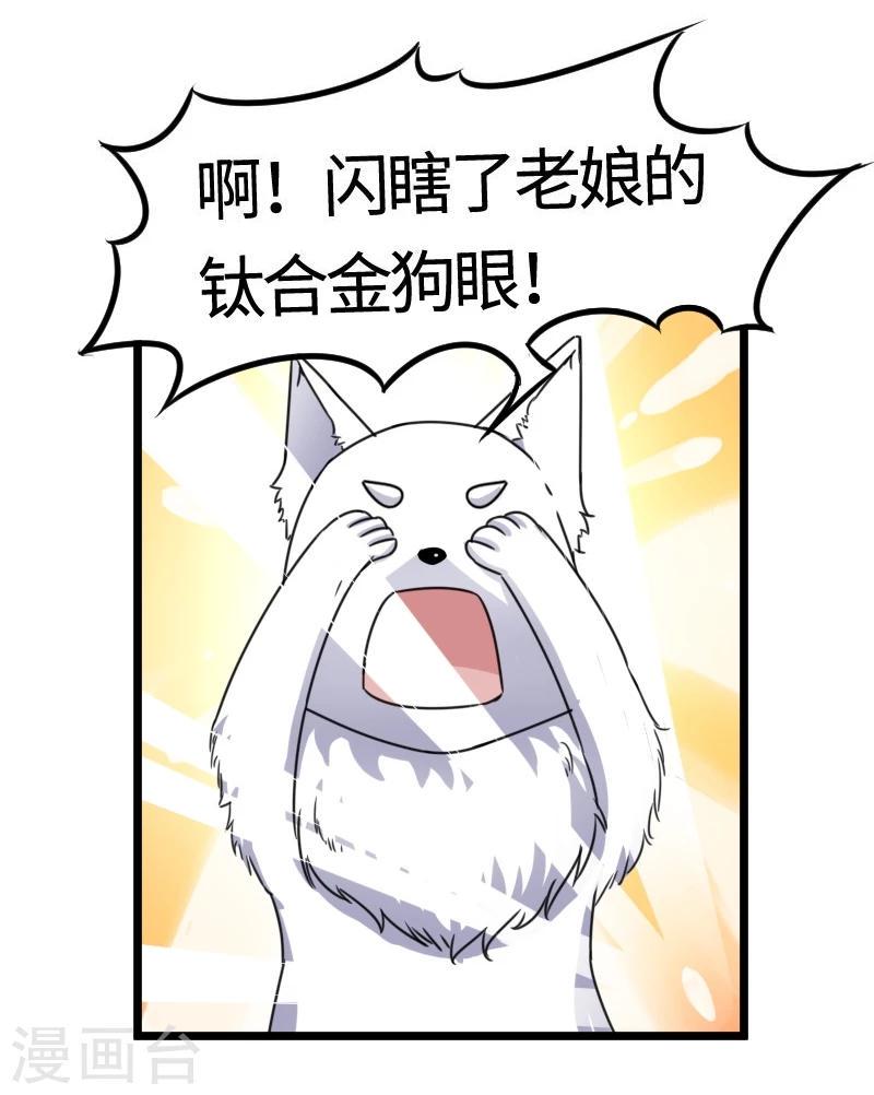 《宠狐成妃》漫画最新章节第100话 献礼免费下拉式在线观看章节第【3】张图片