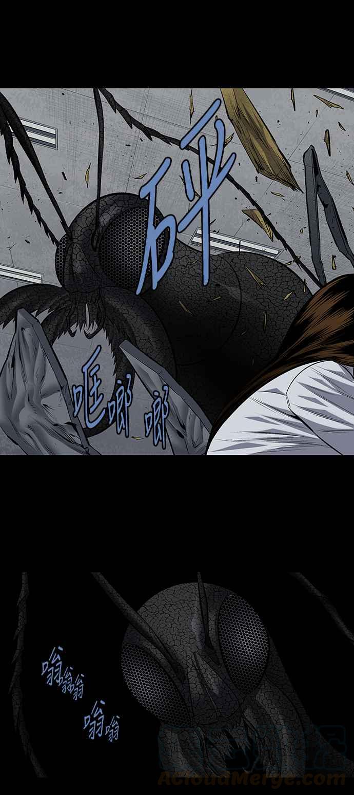 《虫穴》漫画最新章节第193话免费下拉式在线观看章节第【31】张图片