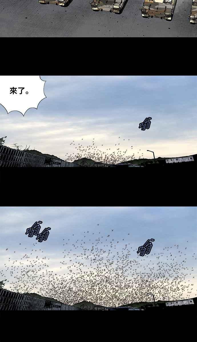 《虫穴》漫画最新章节第199话免费下拉式在线观看章节第【22】张图片