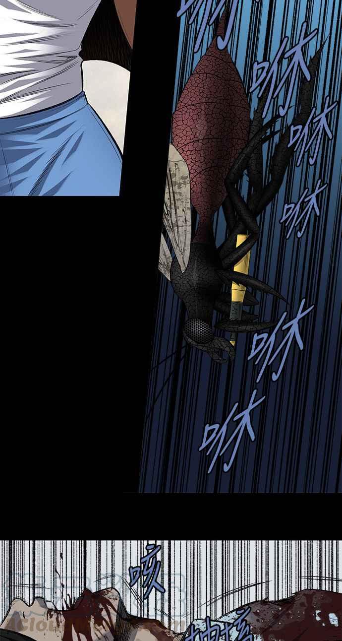 《虫穴》漫画最新章节第199话免费下拉式在线观看章节第【49】张图片