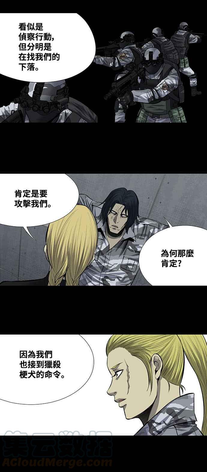 《虫穴》漫画最新章节第203话免费下拉式在线观看章节第【25】张图片