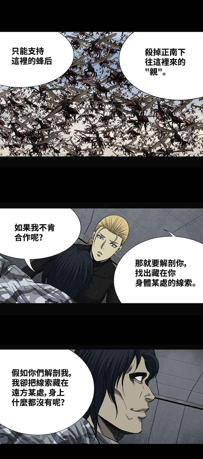 《虫穴》漫画最新章节第203话免费下拉式在线观看章节第【30】张图片