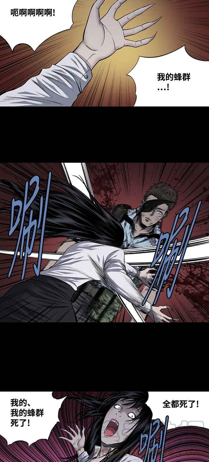 《虫穴》漫画最新章节第211话免费下拉式在线观看章节第【31】张图片