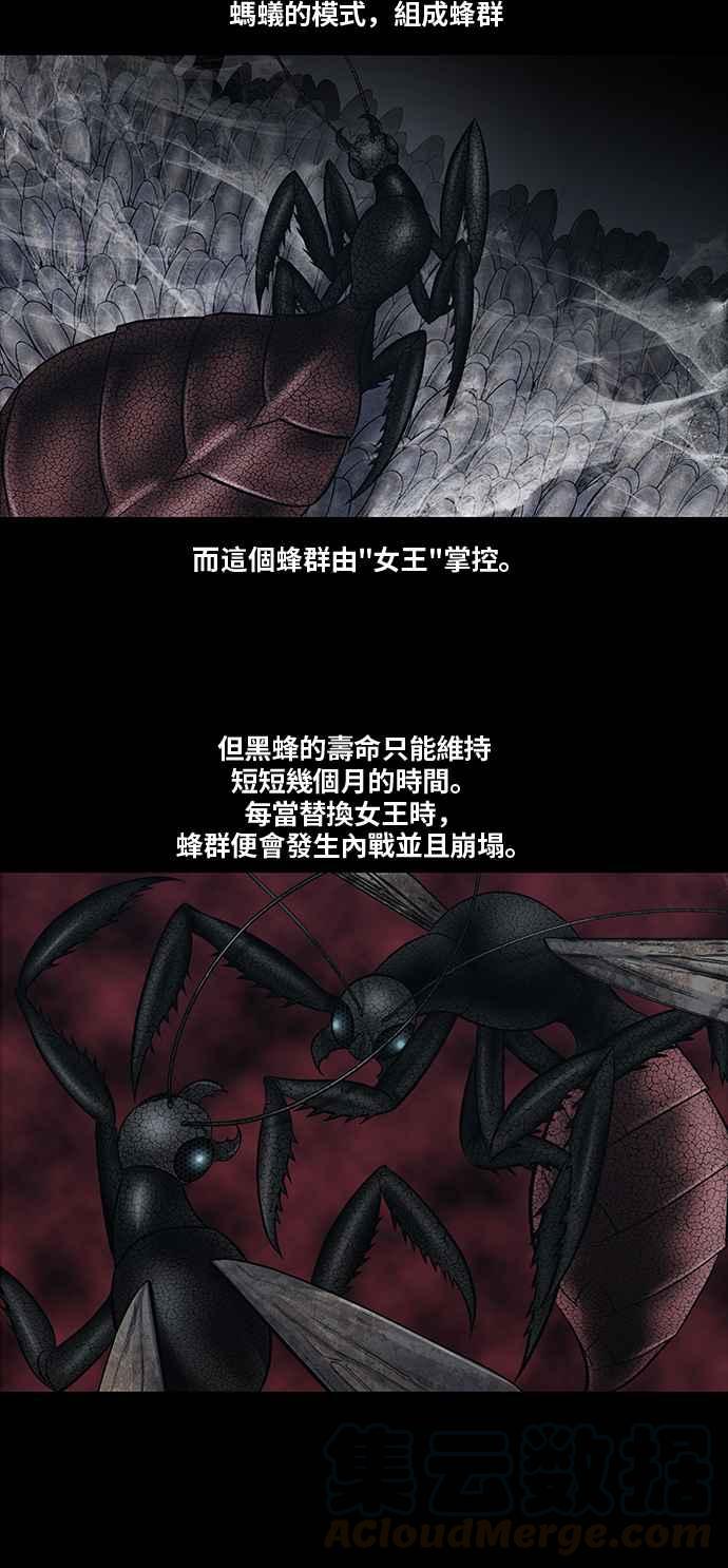 《虫穴》漫画最新章节[前传] 狗贩：第2话免费下拉式在线观看章节第【28】张图片