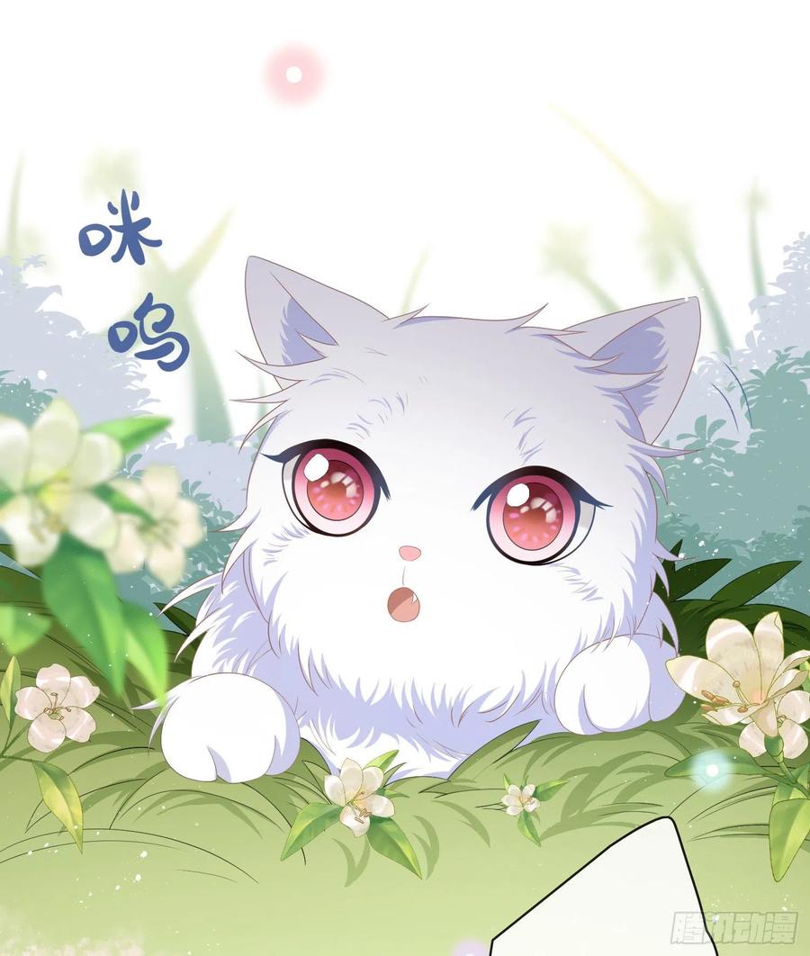 《当影后不如念清华》漫画最新章节这是什么人间小可爱？！免费下拉式在线观看章节第【12】张图片