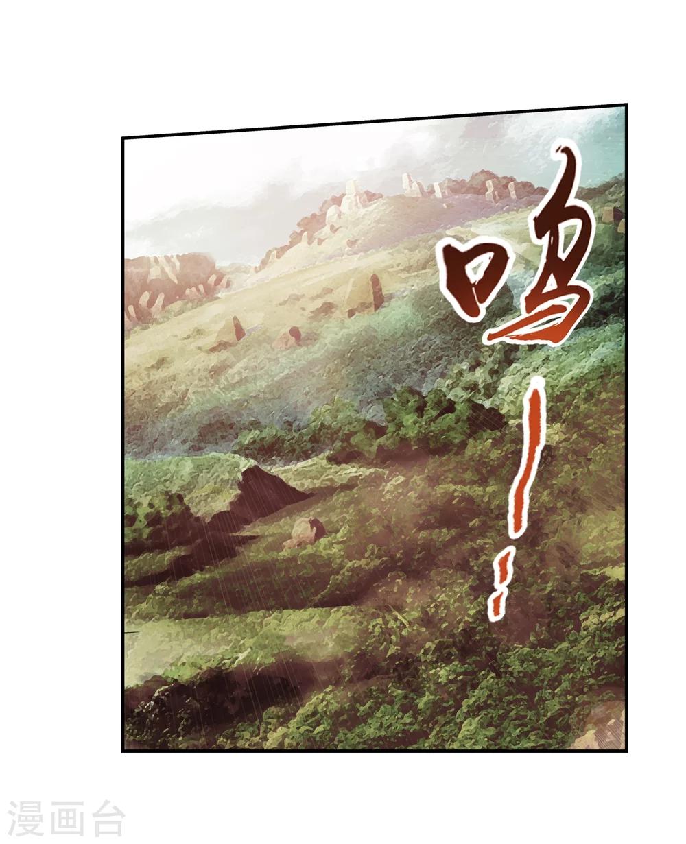 《斗破苍穹之大主宰》漫画最新章节第44话 这就是母亲免费下拉式在线观看章节第【12】张图片