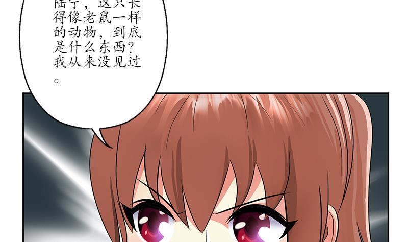 《都市极品仙医》漫画最新章节第228话 老窝免费下拉式在线观看章节第【8】张图片