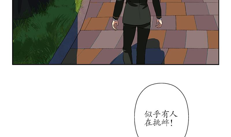 《都市极品仙医》漫画最新章节第244话 卧虎堂的挑衅免费下拉式在线观看章节第【23】张图片