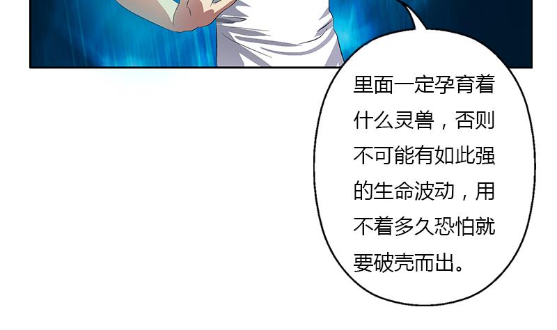 《都市极品仙医》漫画最新章节第371话 第二次交换免费下拉式在线观看章节第【32】张图片