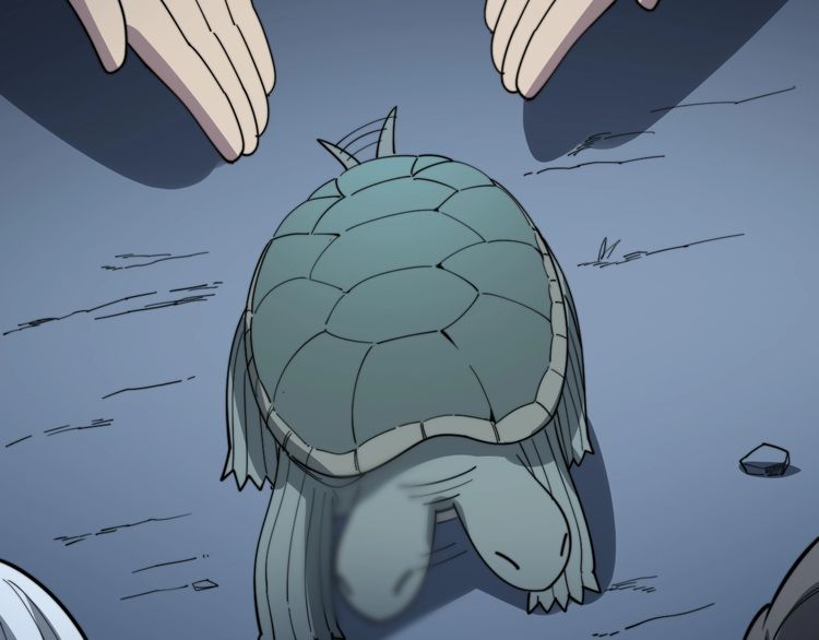 《毒手巫医》漫画最新章节第127话 巴西小乌龟免费下拉式在线观看章节第【58】张图片