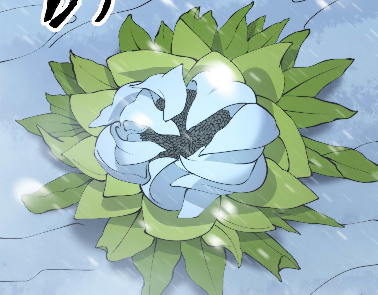 《毒手巫医》漫画最新章节第295话 雪花飘飘免费下拉式在线观看章节第【76】张图片