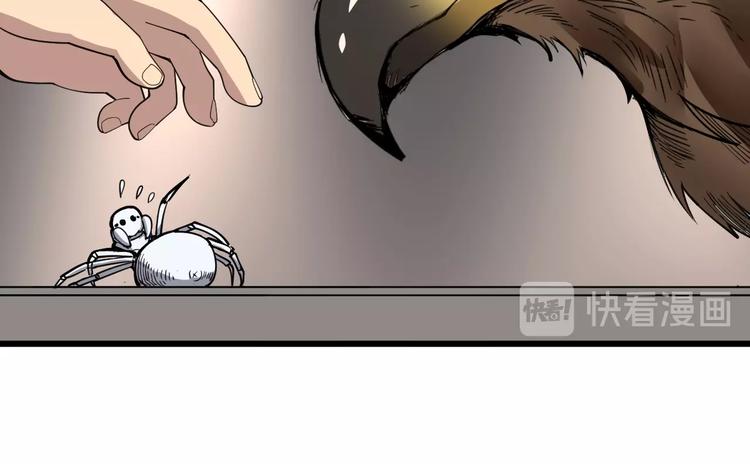 《毒手巫医》漫画最新章节第51话 幻影蜘蛛免费下拉式在线观看章节第【14】张图片