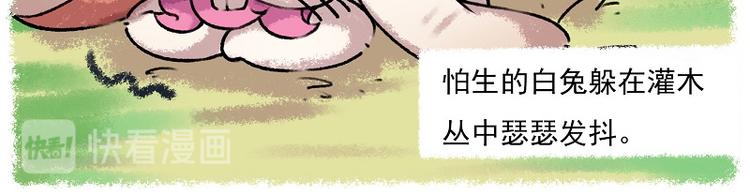 《非人学园》漫画最新章节小红帽 1-雨蛙与白兔免费下拉式在线观看章节第【14】张图片