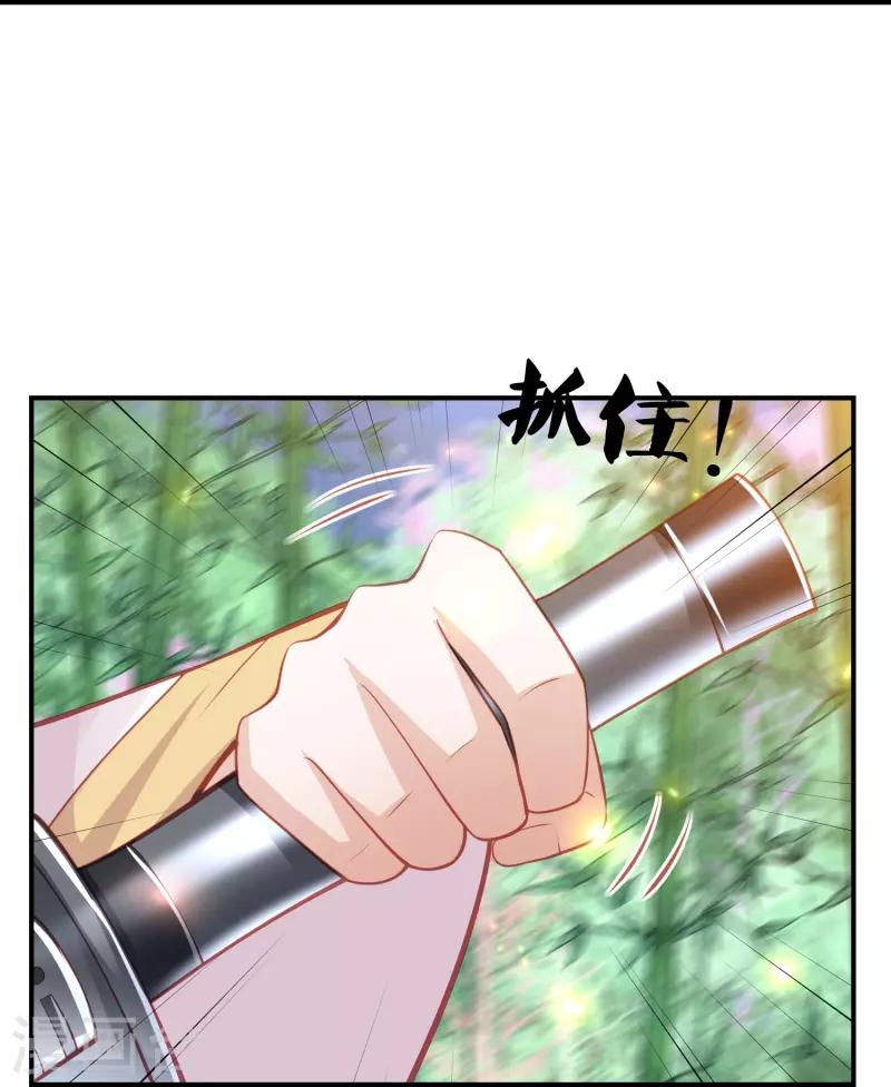 《凤凰错:专宠弃妃》漫画最新章节第237话 苍穹山免费下拉式在线观看章节第【16】张图片