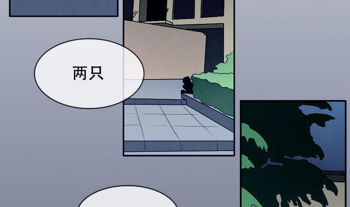 《拂晓的花嫁》漫画最新章节第016话 新的人生 5免费下拉式在线观看章节第【17】张图片