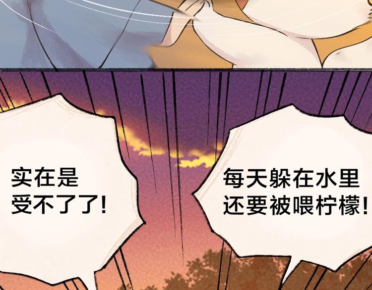 《给我来个小和尚:欢迎来到妖怪镇》漫画最新章节第38话 照片免费下拉式在线观看章节第【50】张图片