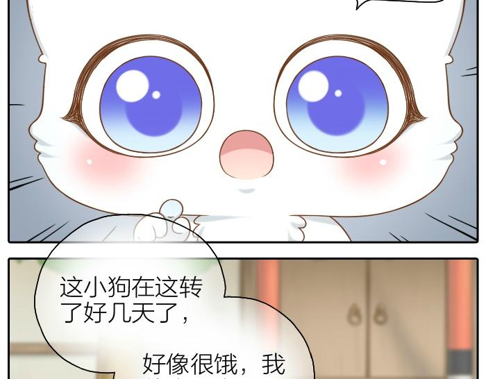 《给我来个小和尚:欢迎来到妖怪镇》漫画最新章节第46话 你是不是忘了什么事情？免费下拉式在线观看章节第【4】张图片