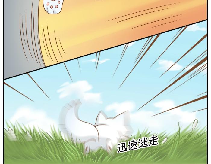 《给我来个小和尚:欢迎来到妖怪镇》漫画最新章节第9话 小和尚与小狐狸的前缘趣事儿免费下拉式在线观看章节第【23】张图片