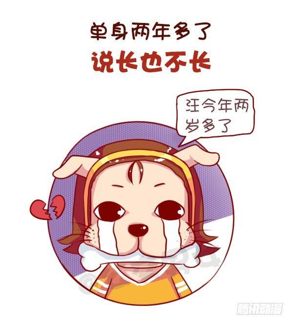 《公交男女爆笑漫画》漫画最新章节长期单身是一种什么体验免费下拉式在线观看章节第【2】张图片