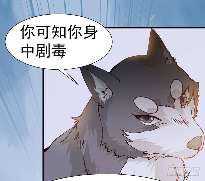 《公主是男人》漫画最新章节第008话 和我签订契约吧少女免费下拉式在线观看章节第【21】张图片