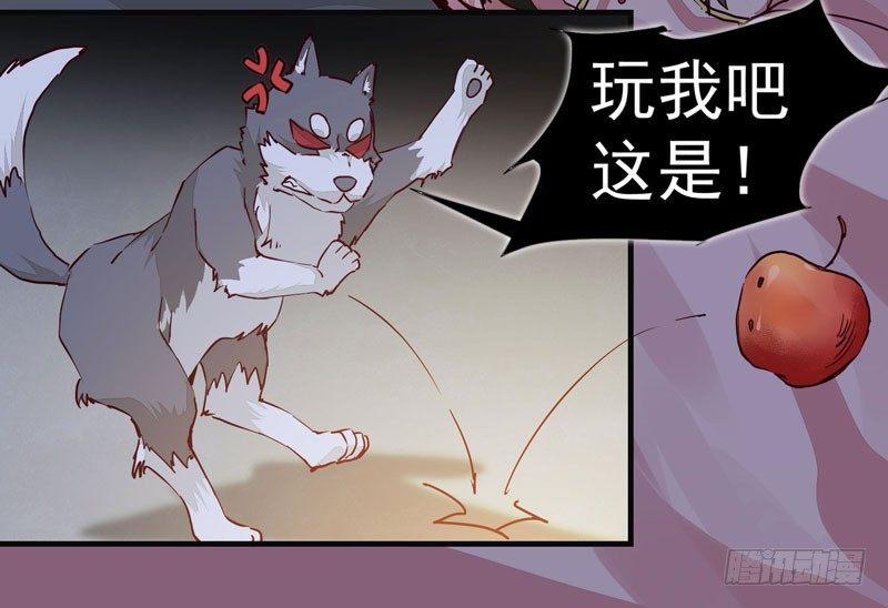 《公主是男人》漫画最新章节第008话 和我签订契约吧少女免费下拉式在线观看章节第【7】张图片