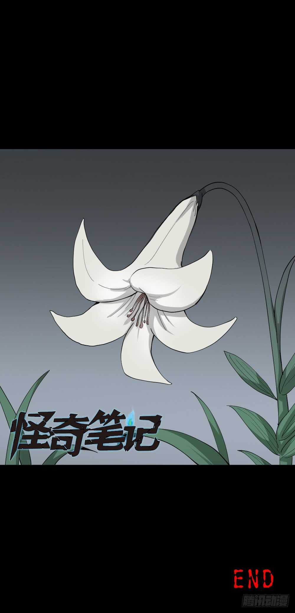 《怪奇笔记》漫画最新章节雨幕（7）免费下拉式在线观看章节第【29】张图片