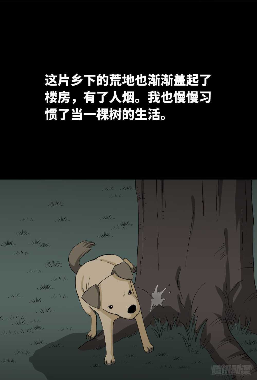 《怪奇笔记》漫画最新章节树的报仇（3）免费下拉式在线观看章节第【18】张图片