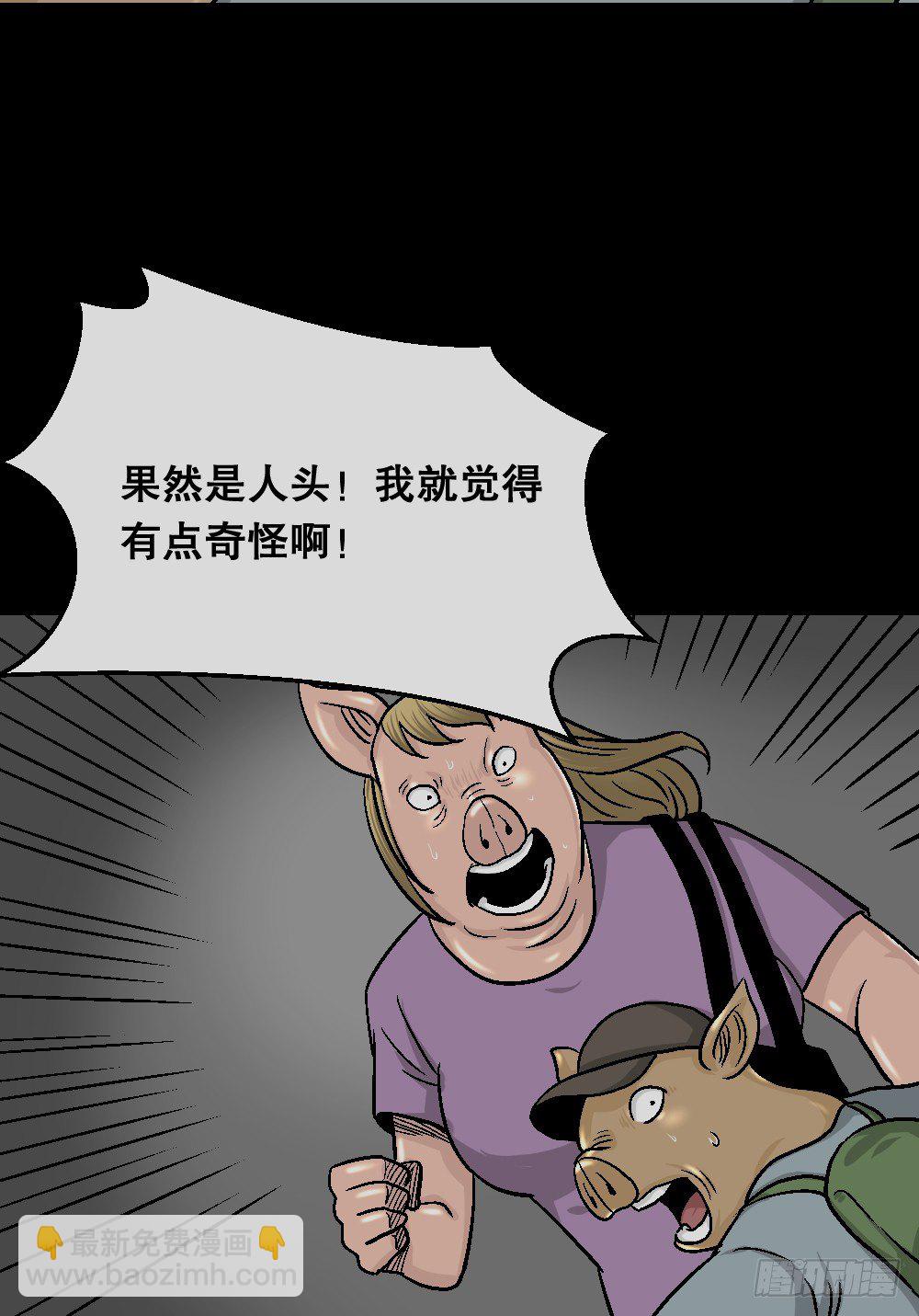 《怪奇笔记》漫画最新章节猪头人（3）免费下拉式在线观看章节第【47】张图片