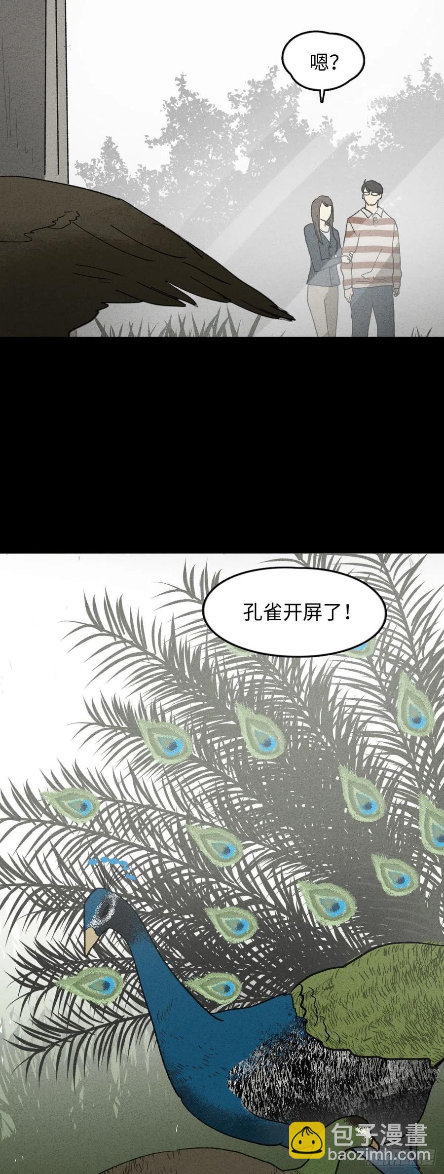 《怪奇笔记》漫画最新章节动物园免费下拉式在线观看章节第【12】张图片